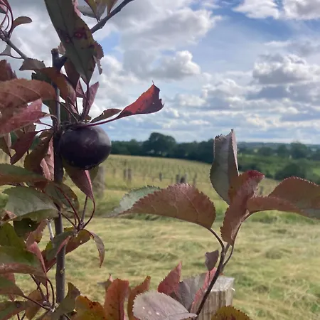 Σπίτι διακοπών Le Du Domaine De La Fresnee Garnetot