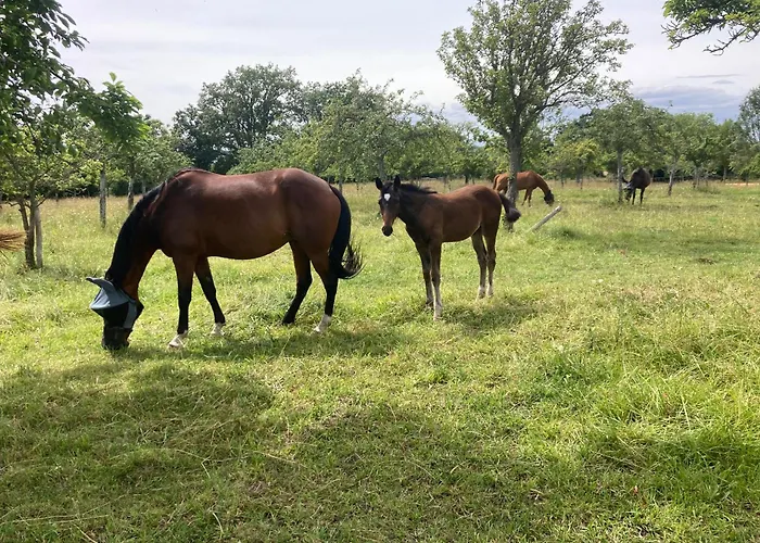 度假居 Le Du Domaine De La Fresnee