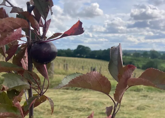 Σπίτι διακοπών Le Du Domaine De La Fresnee Garnetot